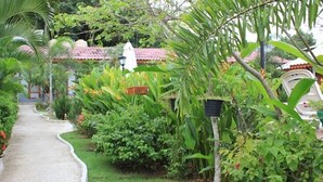 Caminho de jardim que leva a um edifício com telhado em telhas.