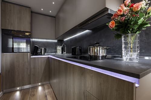 Superior Apartment | Private kitchen | Full-sized fridge, microwave, oven, stovetop
