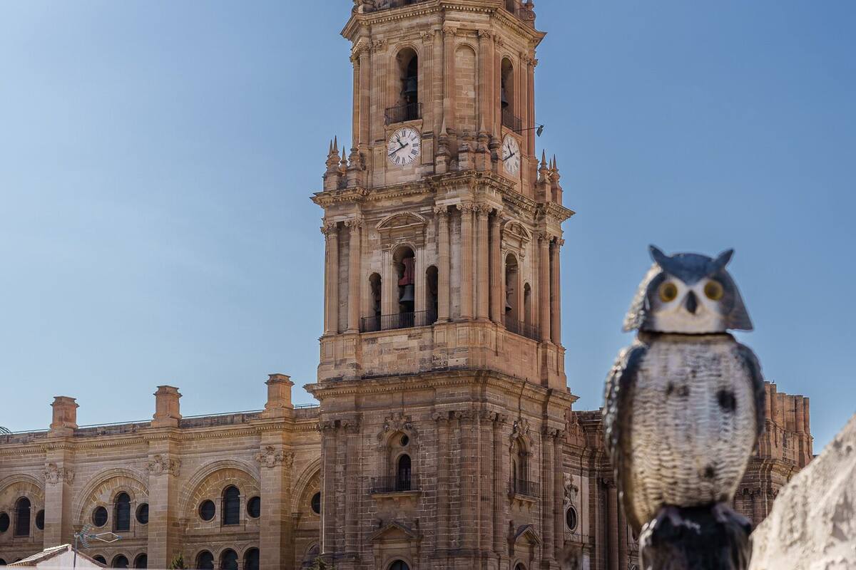 Un edificio histórico con una imponente torre de reloj y ventanas arqueadas.