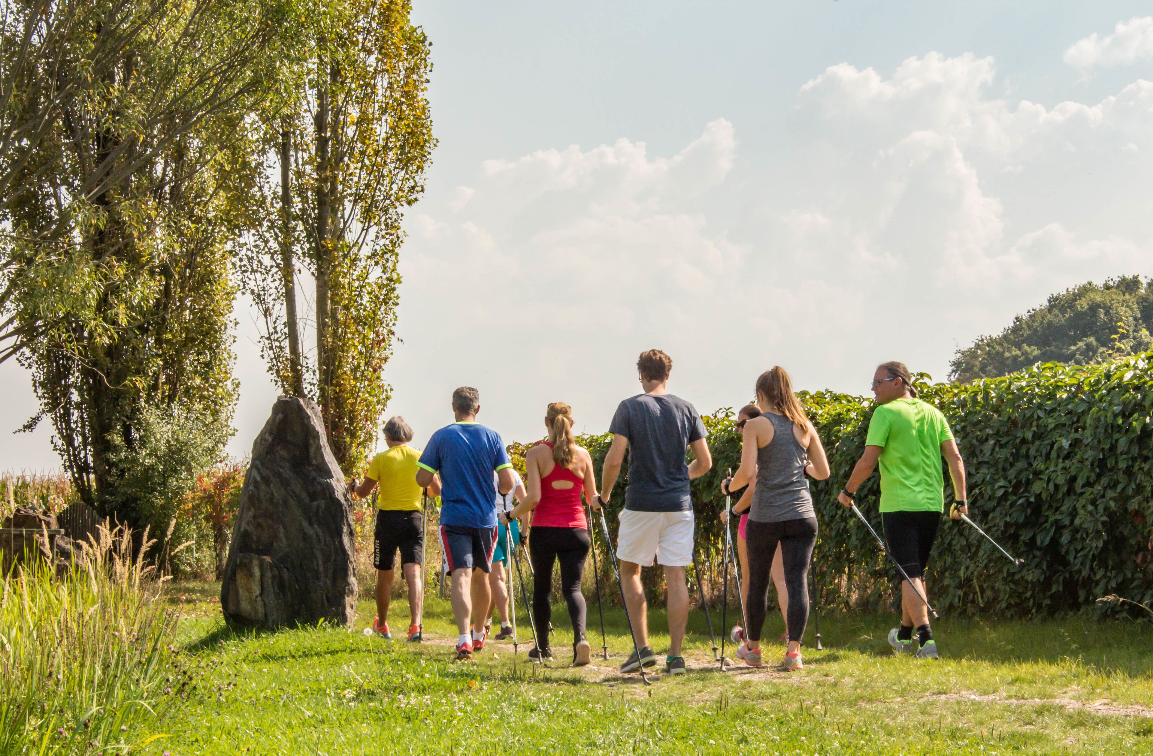 Un gruppo di persone che fa escursione su un sentiero erboso, con alberi e una grande roccia in primo piano.