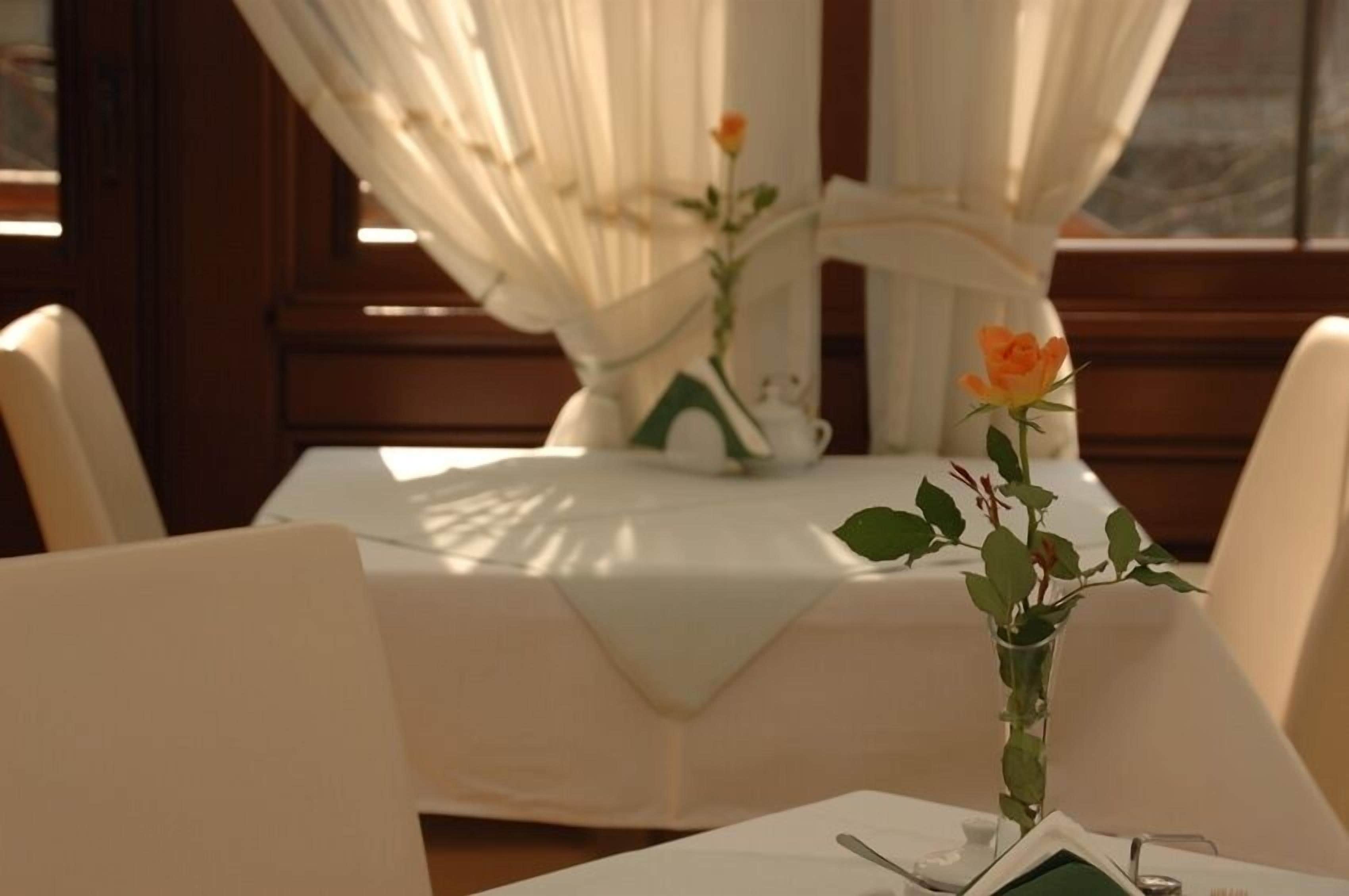 Photo - U Pana Cogito