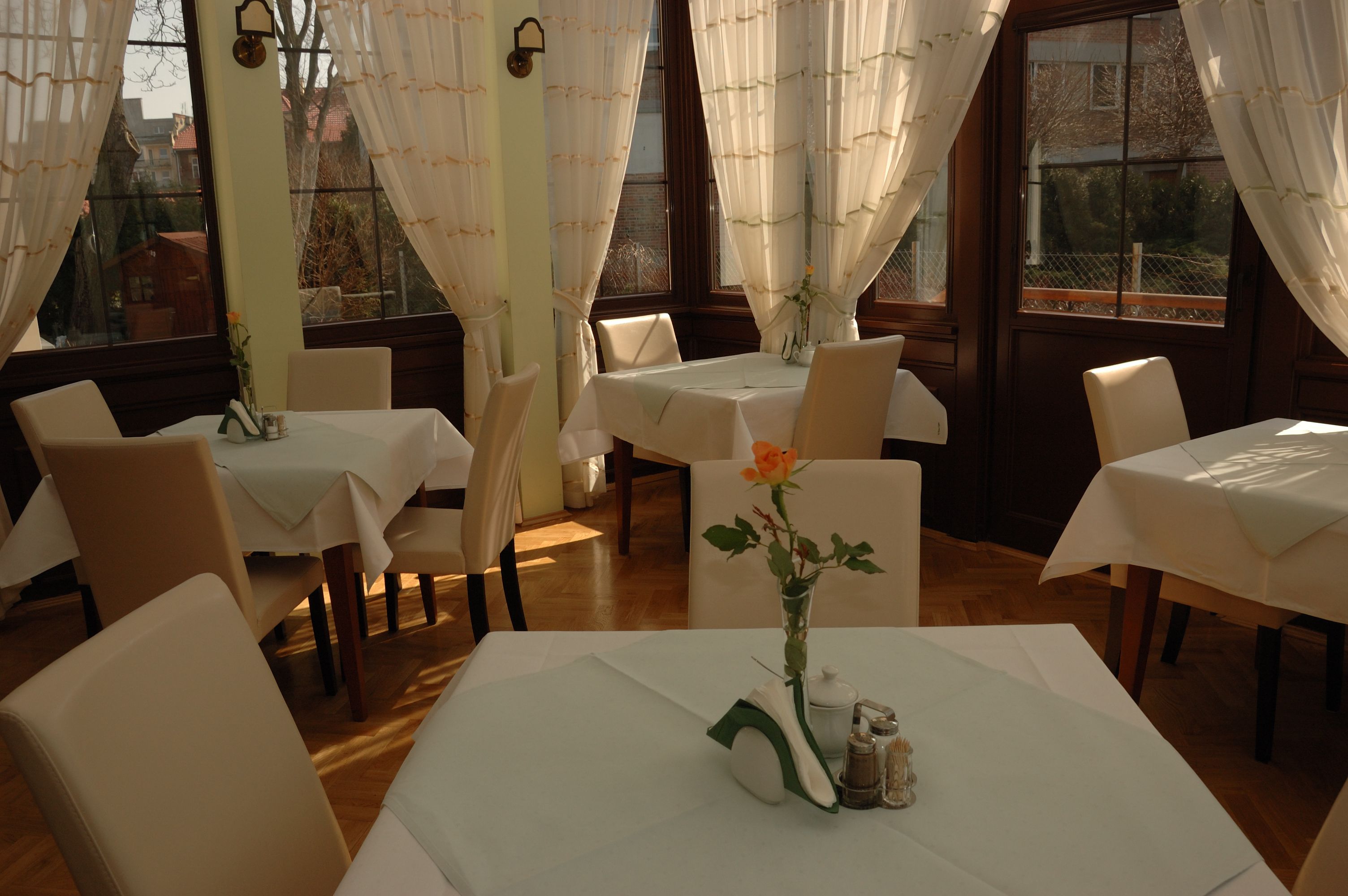 Photo - U Pana Cogito