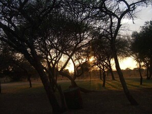 View from room - Golden Leopard Resorts - Manyane Resort (Pilanesberg National Park)