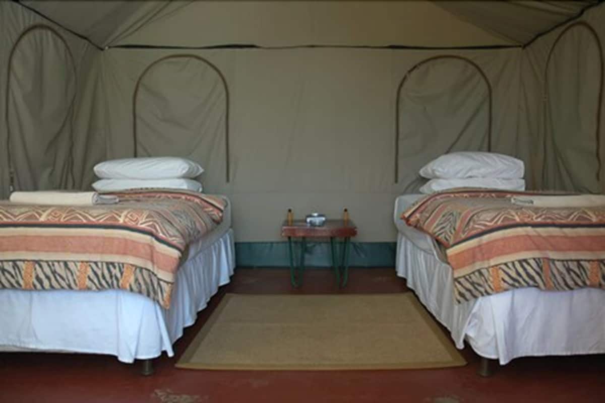 A tent with two beds, each with patterned bedding and pillows.