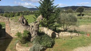A rustic stone wall with a tree growing through it, a fenced garden area, and a view of distant hills. - Fattoria Il Santo (Monticiano)
