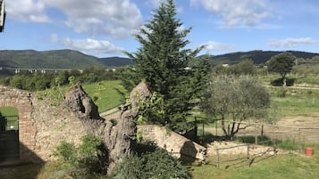Jardín