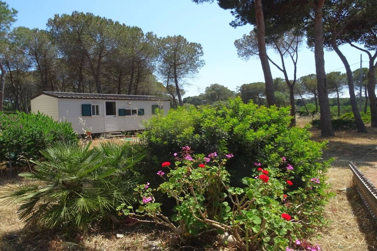 Mobile Comfort-Unterkunft, 2 Schlafzimmer, Küche, Gartenblick | Garten