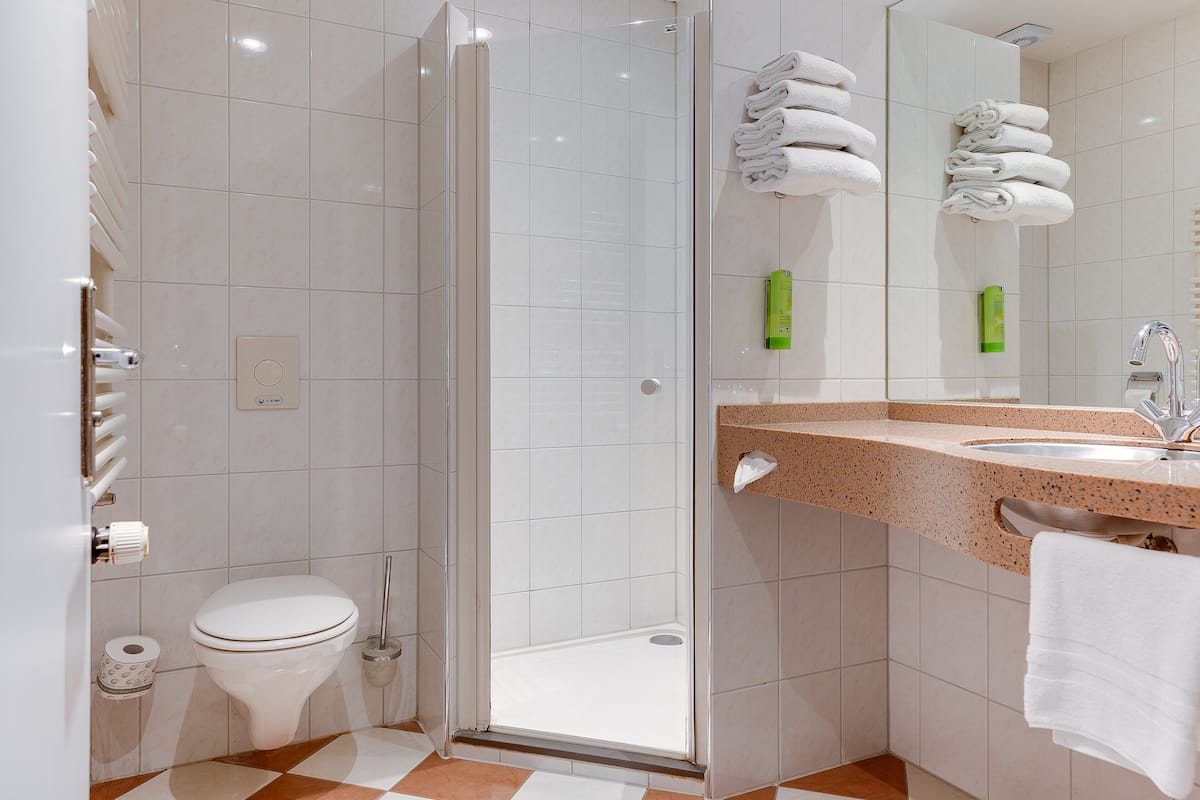 shower, free toiletries, hair dryer, towels