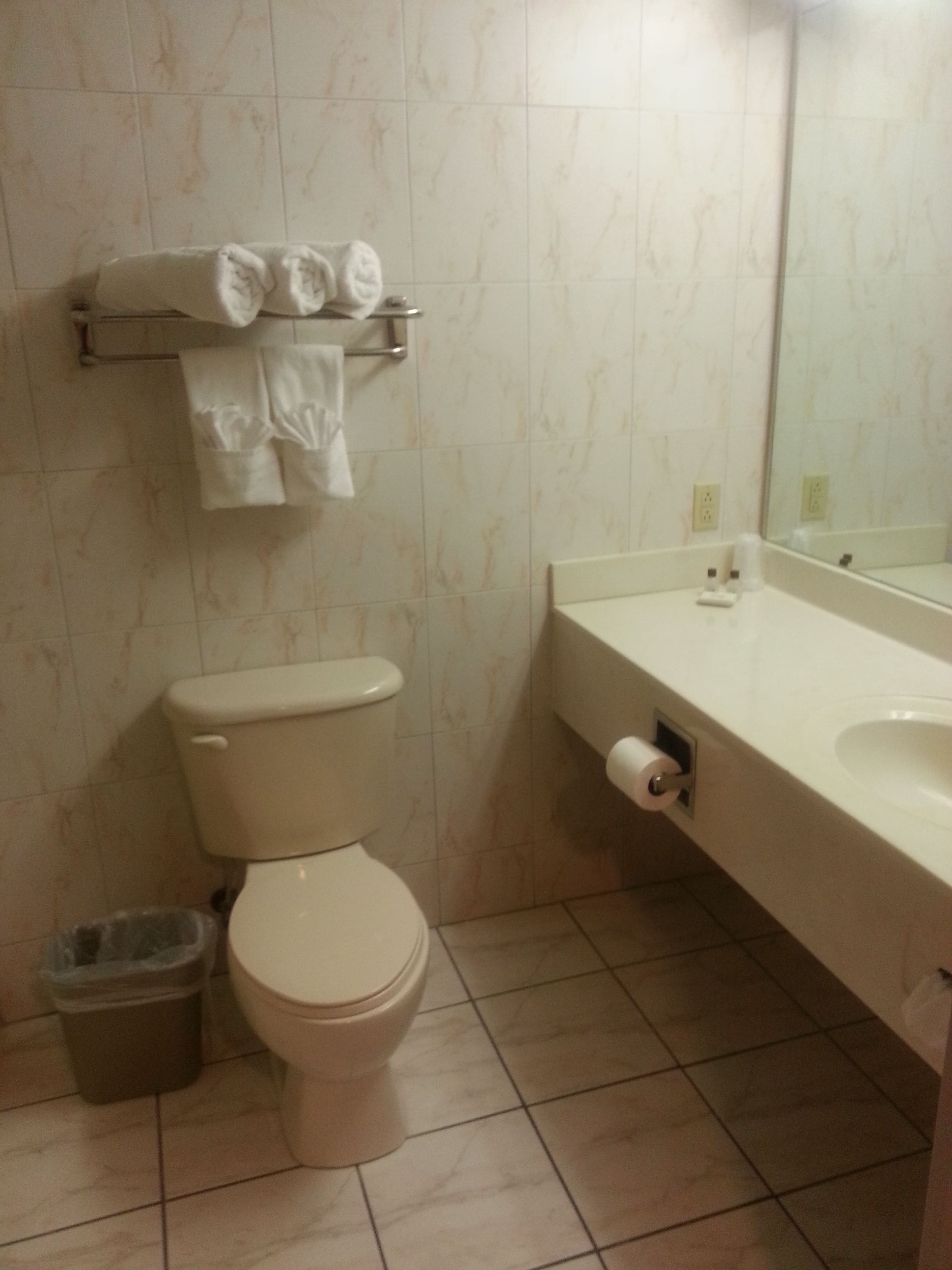 A bathroom with a toilet, a sink, a mirror, and a trash bin.