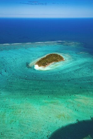 Accommodatievoorziening