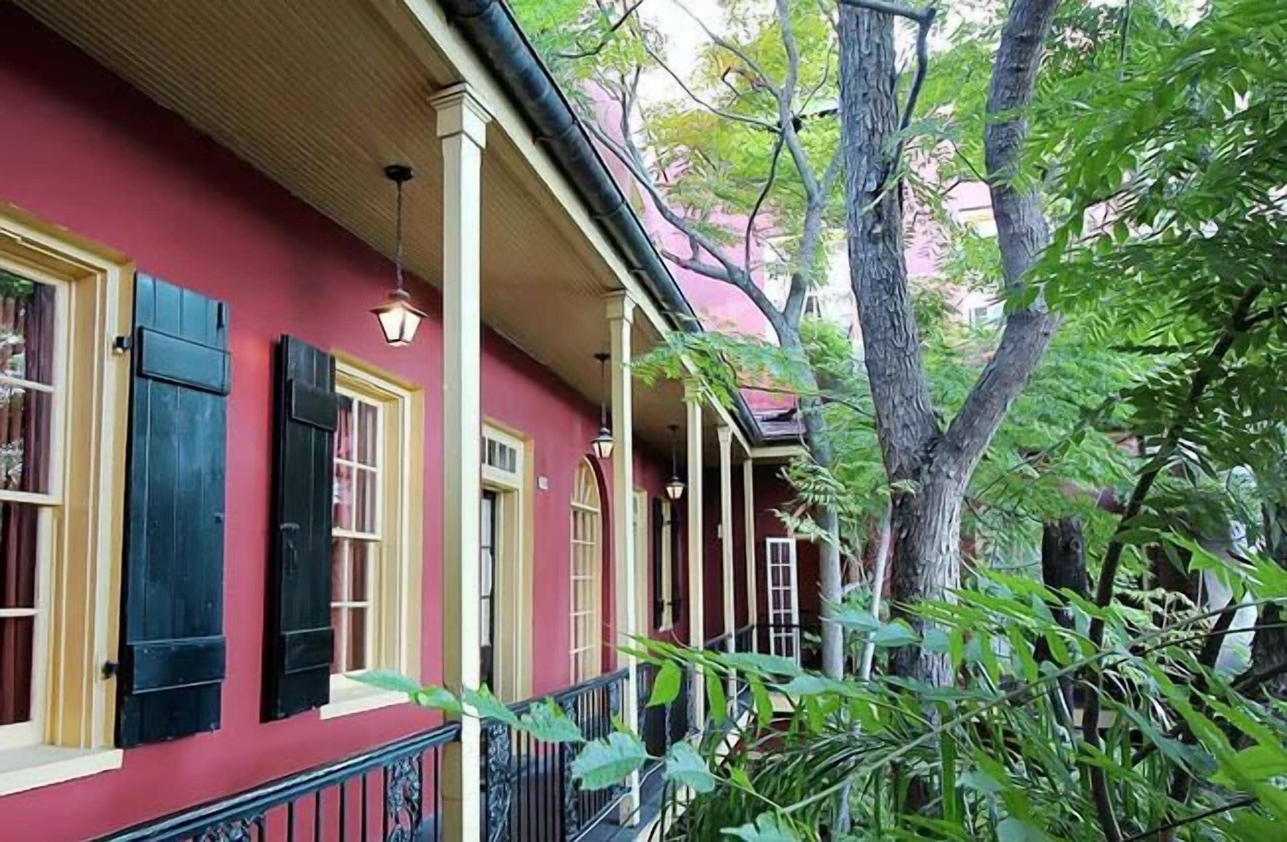 วิวสนามหญ้า