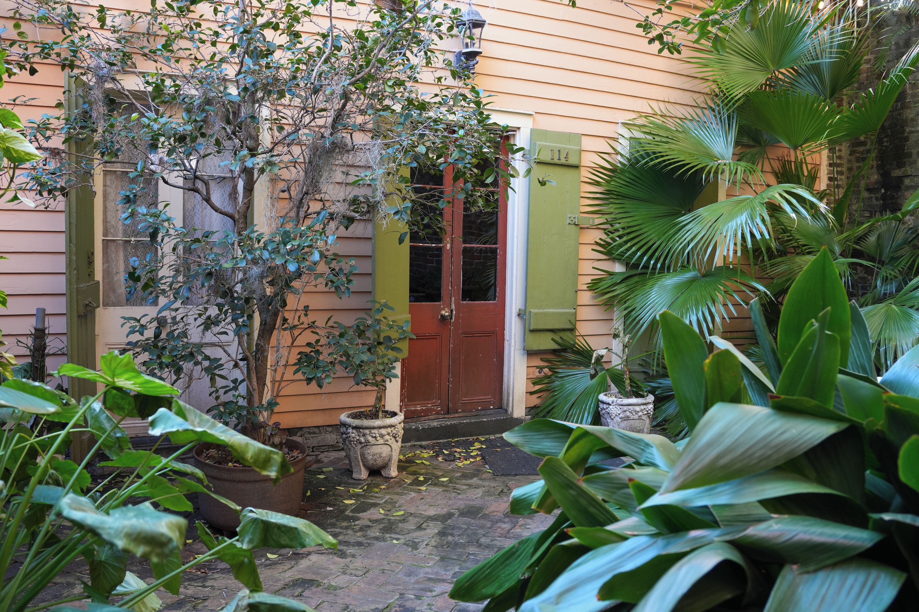 A courtyard with a door, potted plants, and a brick pathway.