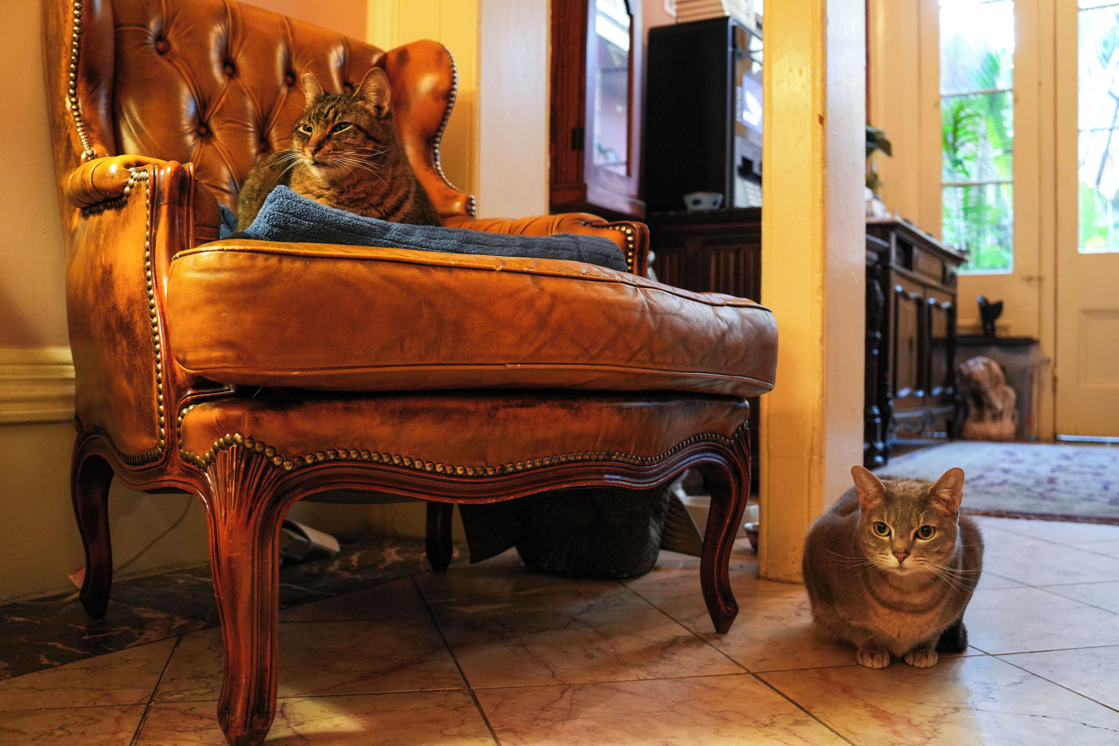 Photo - The Olivier House Hotel