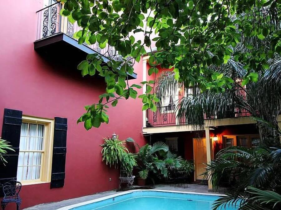 Piscine extérieure, chaises longues