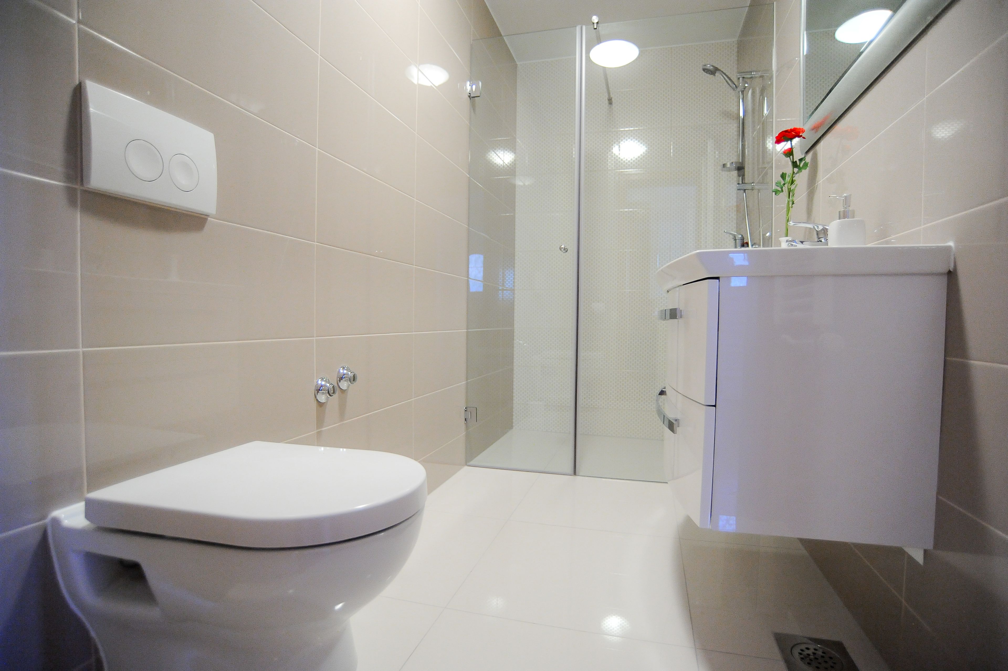 A modern bathroom with a toilet, a shower enclosure, and a vanity with a mirror.