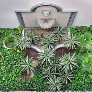 A garden with a variety of plants, a decorative wall, and a stone feature. - Solar De La Plaza (Salta)
