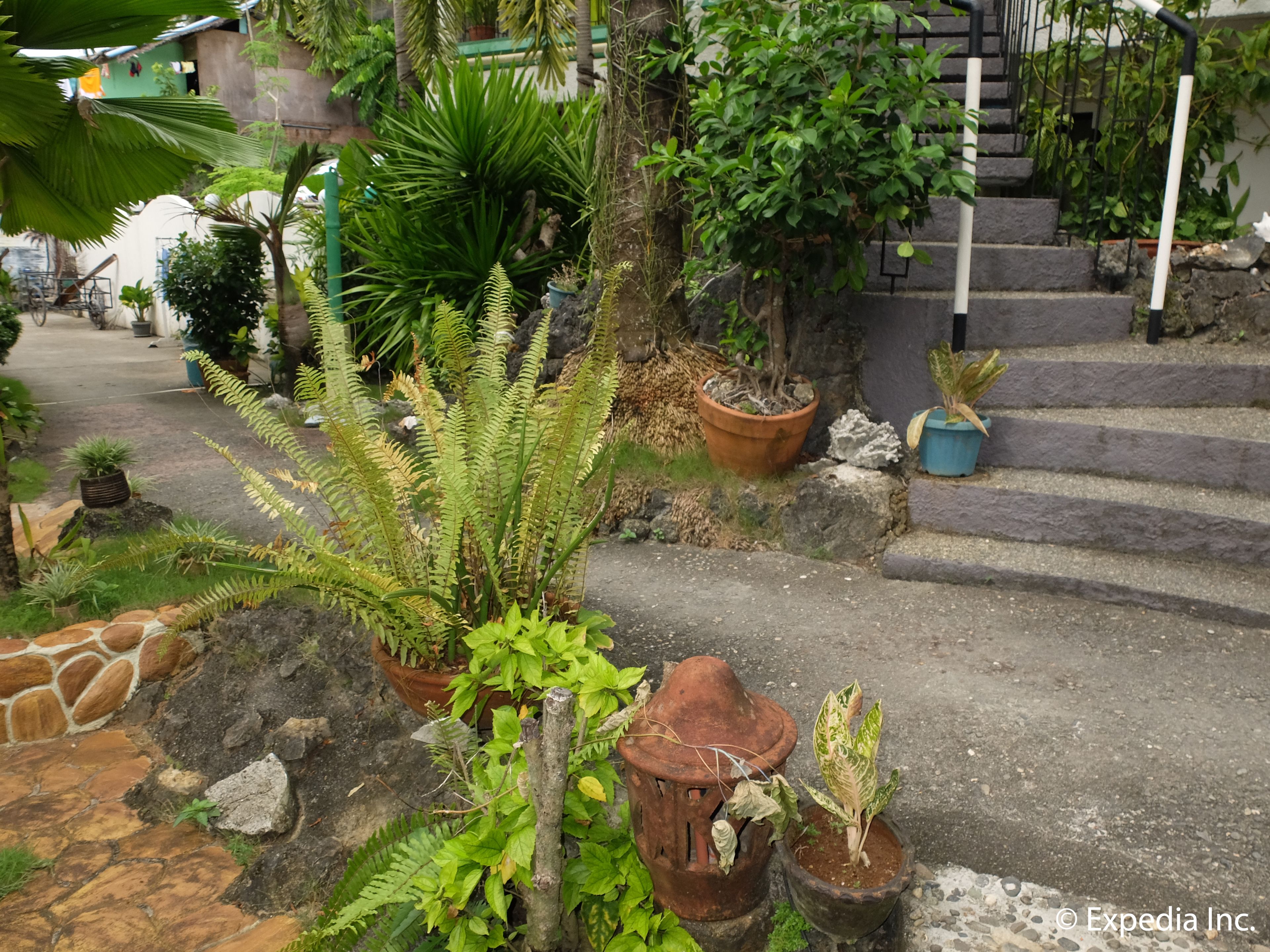 A garden with various potted plants, a stone pathway, and a staircase leading to a building.