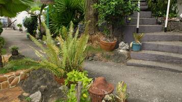A garden with various potted plants, a stone pathway, and a staircase leading to a building.