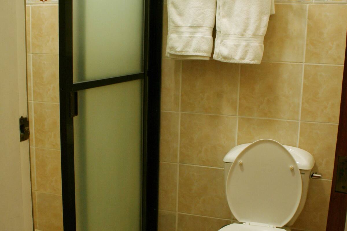 standard room | bathroom | shower, bidet, towels