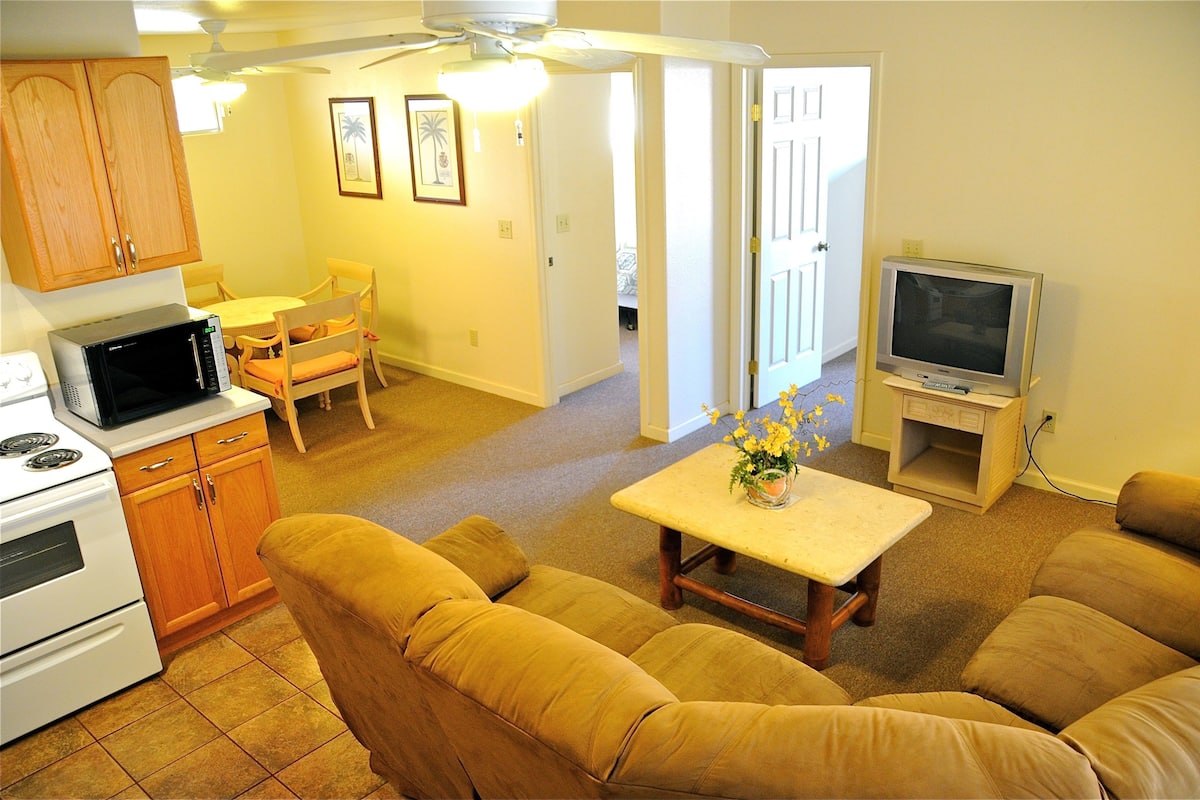 A compact living space with a kitchenette, a sofa, a dining table, and a television.