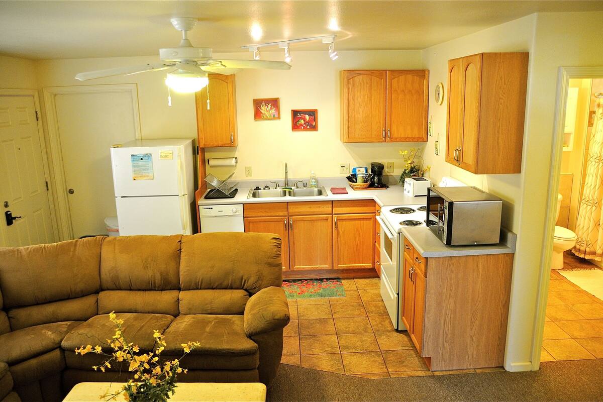 suite, 2 bedrooms | living area | 55-inch flat-screen tv with satellite channels, tv