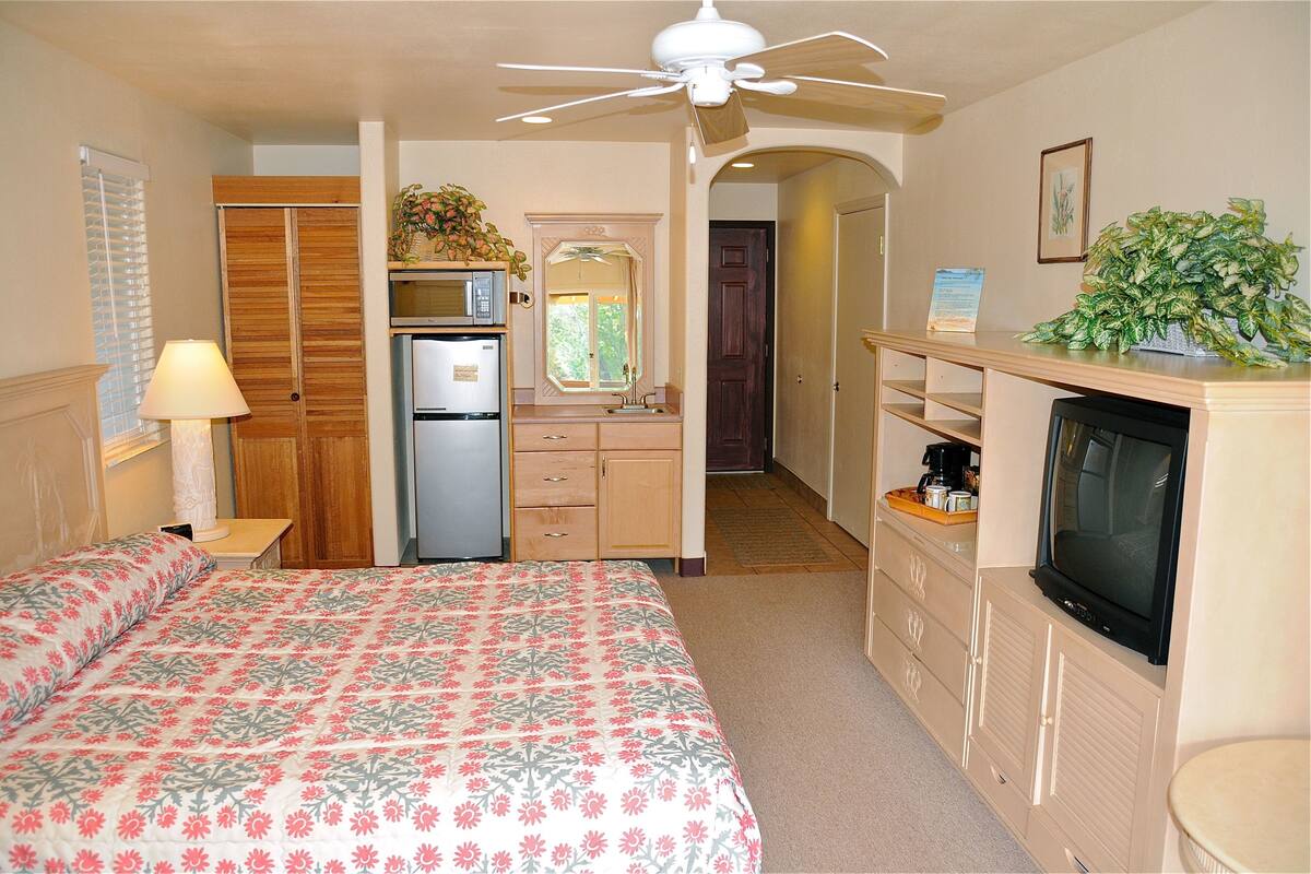 A hotel room with a bed, a microwave, a refrigerator, a television, and a ceiling fan.
