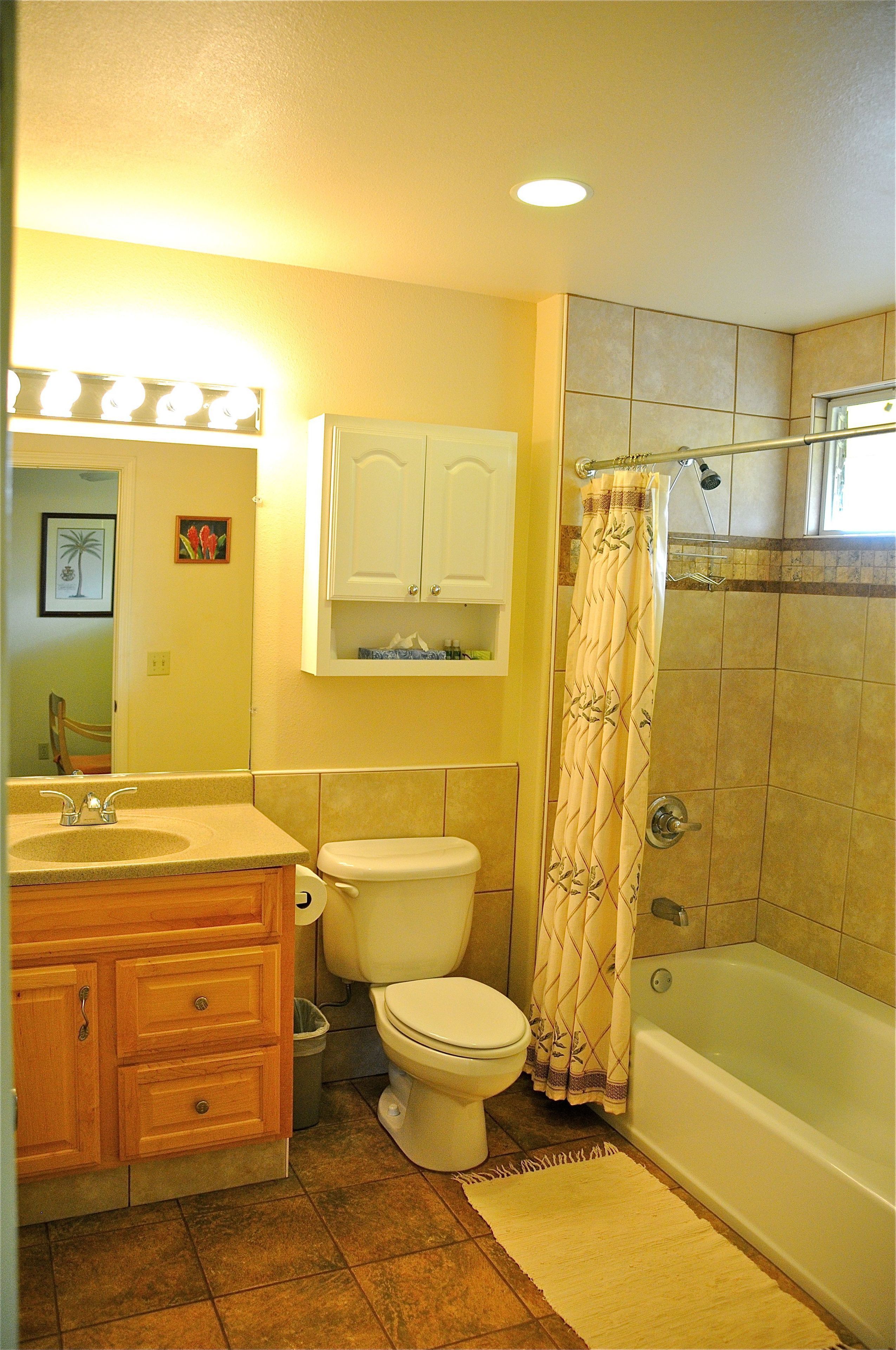 combined shower/bathtub, free toiletries, hair dryer, towels