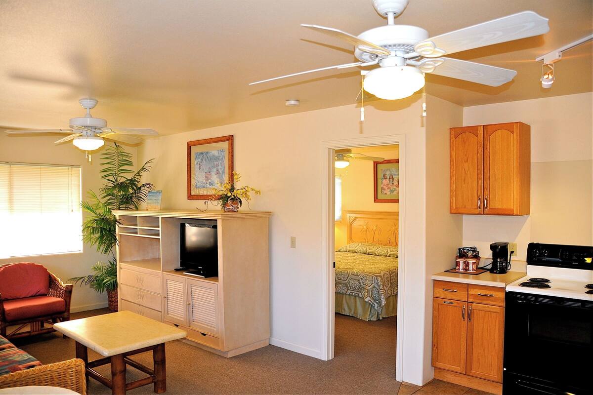 A compact living space with a kitchenette, a dining area with a table and chairs, a television, and a ceiling fan.