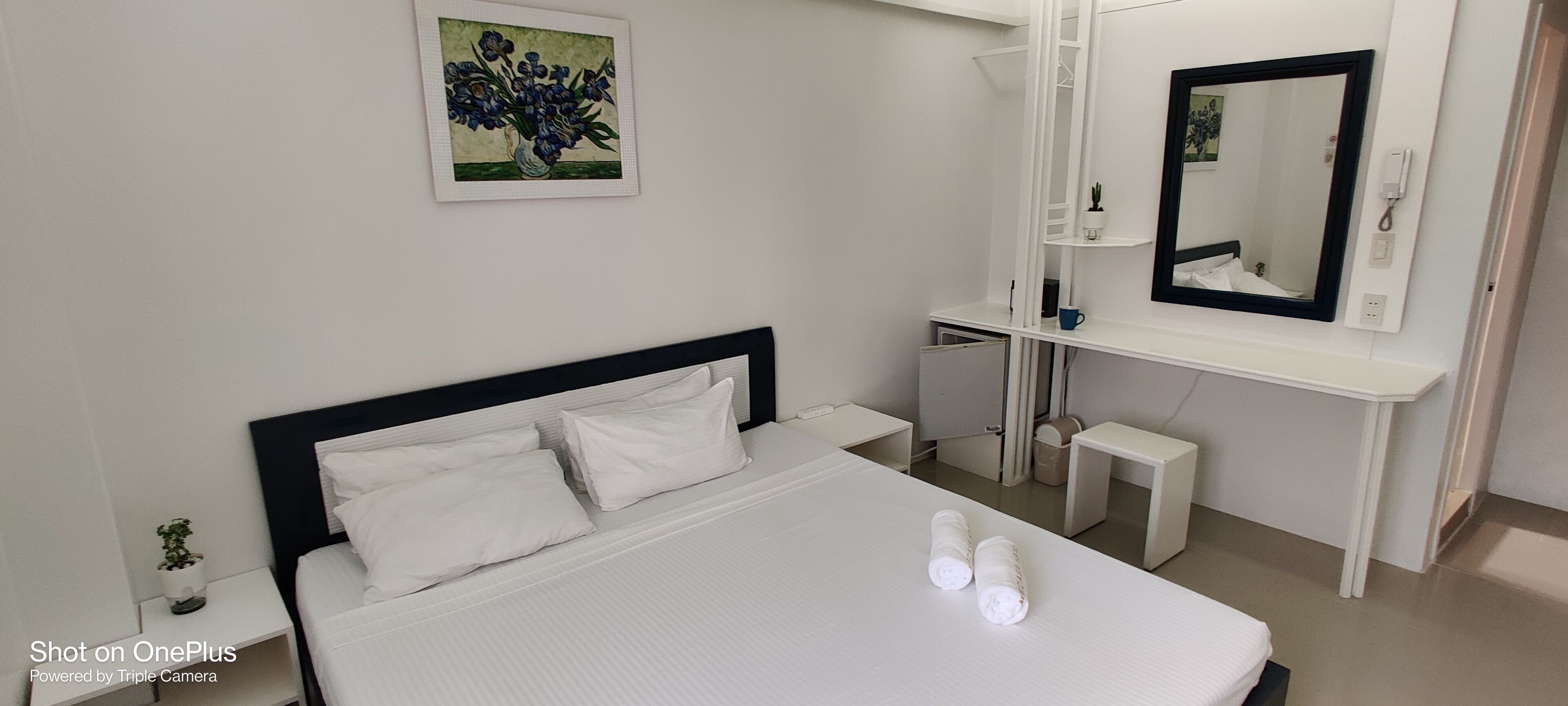 Une chambre d’hôtel avec un lit, une table de chevet ornée d’une plante, un miroir et une petite armoire.