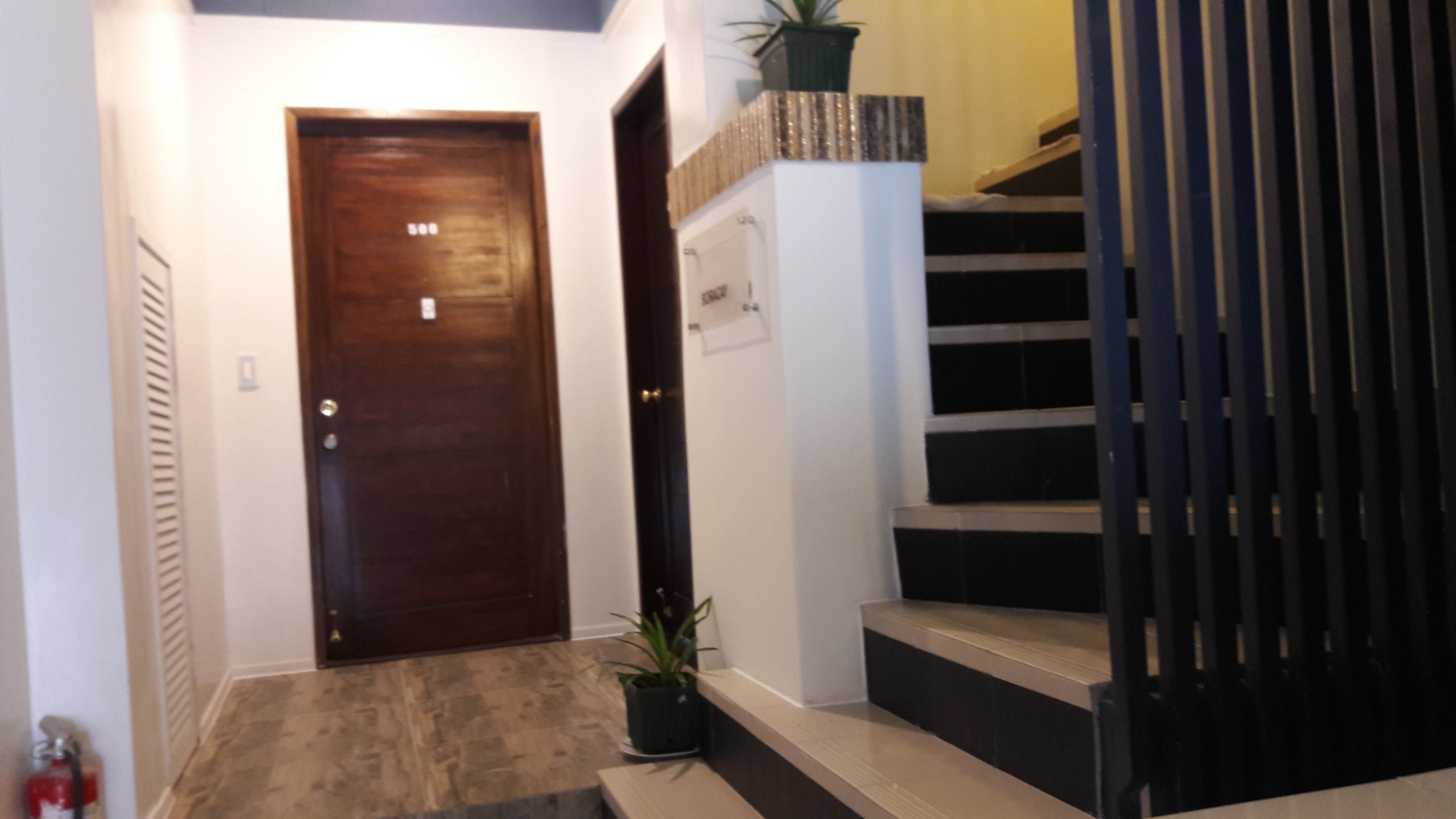 A hallway with a wooden door, a staircase with a black railing, and a potted plant.
