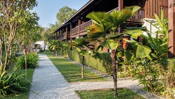 Un sendero que lleva a un edificio de madera con balcones, rodeado de plantas tropicales y un cielo despejado.