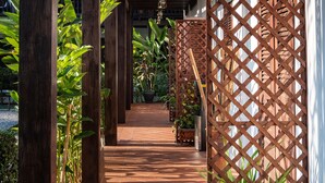 Un paseo techado con pilares de madera, plantas en macetas y una celosía.