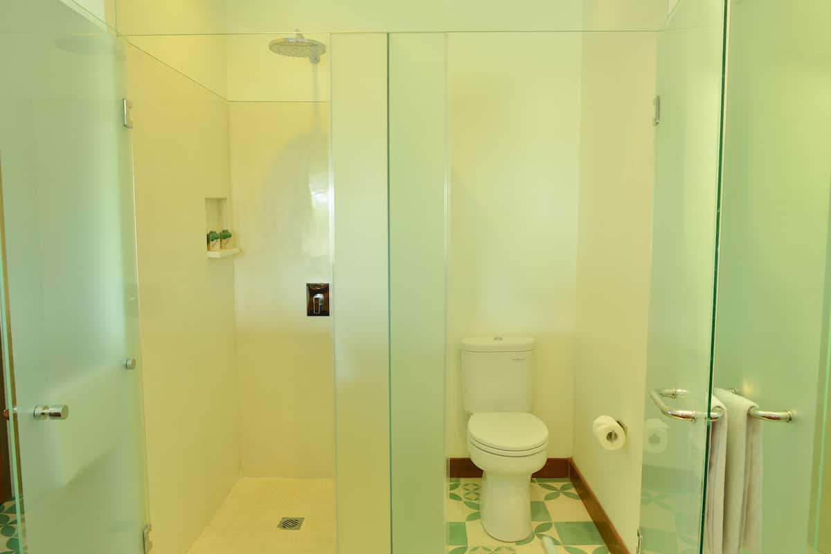 shower, free toiletries, hair dryer, slippers