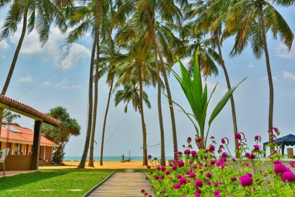 Garden - Amagi Beach – Secluded Slice of Paradise (Marawila)