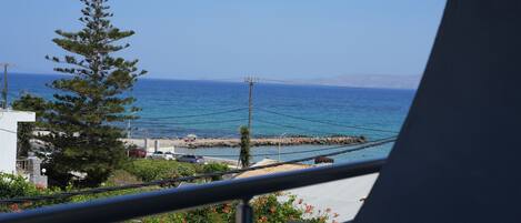 A coastal view with a clear sky, a pine tree, and a distant shoreline.