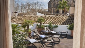 Terraza en la azotea con sillones de descanso, plantas en macetas y vistas a un edificio histórico con una cúpula.