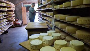 A cheese aging room with shelves of cheese wheels and a person in the background.