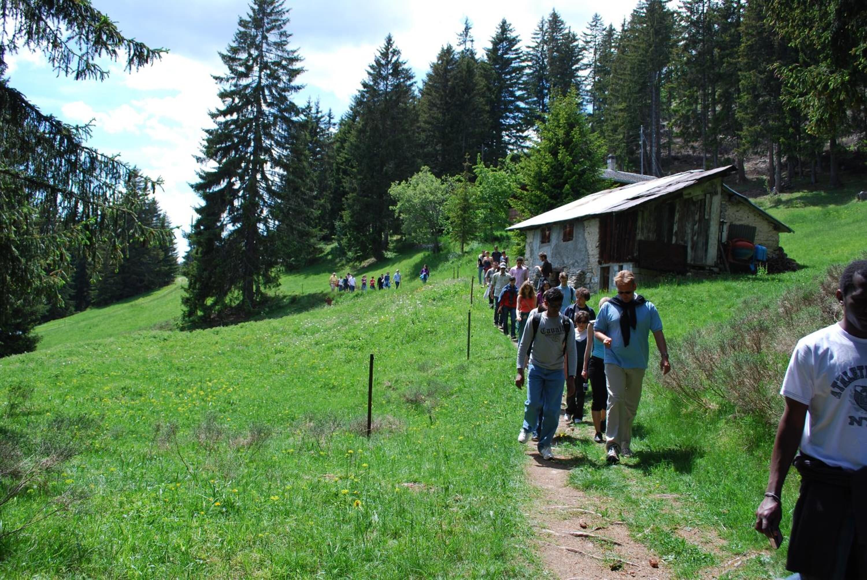 Eine Gruppe von Menschen geht auf einem Feldweg durch eine Wiese, im Hintergrund stehen Bäume und ein kleines Holthaus.