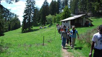 Eine Gruppe von Menschen geht auf einem Feldweg durch eine Wiese, im Hintergrund stehen Bäume und ein kleines Holthaus.