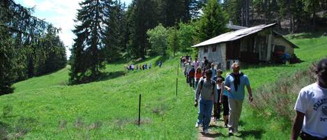 Un grupo de personas caminando por un sendero de tierra en un área con césped, árboles y un pequeño edificio de madera al fondo.