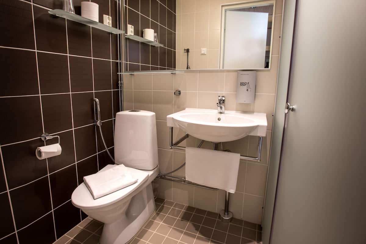 shower, designer toiletries, hair dryer, bidet