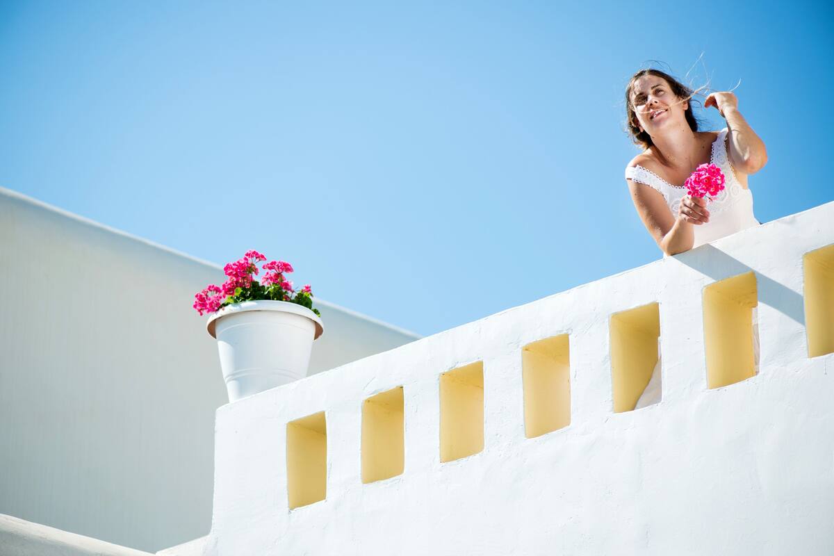 A white building with rectangular windows and a potted plant with pink flowers.
