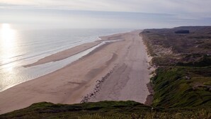 Playa
