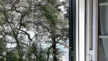 Phòng đôi (Attic 3º floor) | Quang cảnh vườn