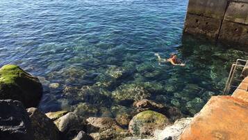 Pantai