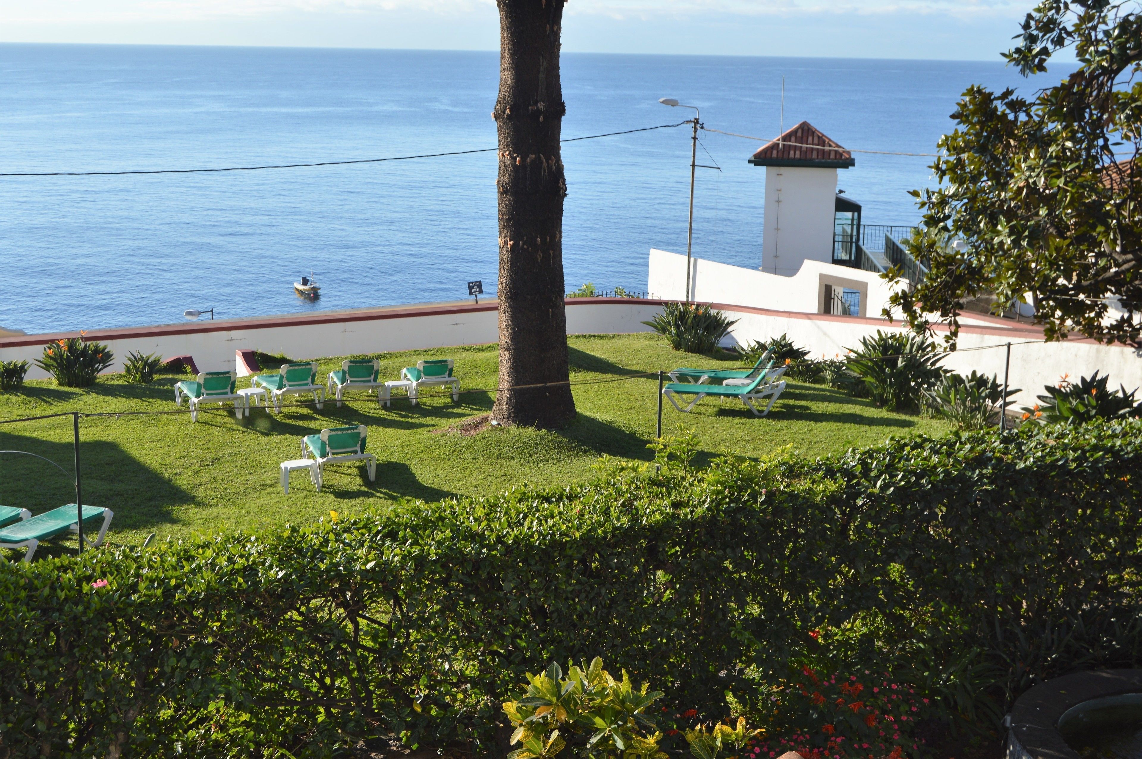 Un espace verdoyant avec des chaises longues et une vue sur la mer.