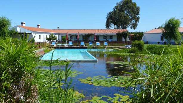 A swimming pool with lounge chairs and umbrellas, surrounded by water lilies and greenery. - Casa Vicentina (Aljezur)