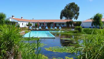 Outdoor pool, pool umbrellas, pool loungers
