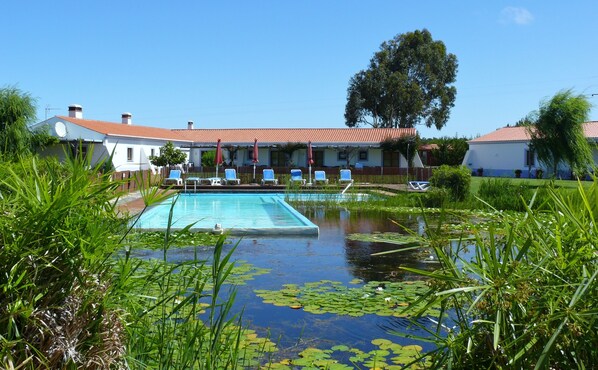 Una piscina al aire libre, sombrillas, tumbonas