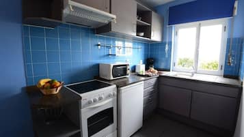 Superior Apartment | Private kitchenette | Fridge, microwave, stovetop, espresso maker